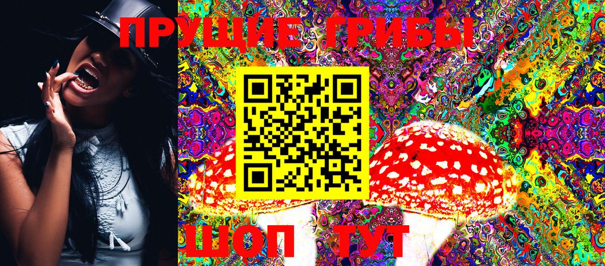 Псилоцибиновые грибы GOLDEN TEACHER  Галлюциногенные грибы Cubensis  купить наркоту  Лесосибирск  Вход с VPN 