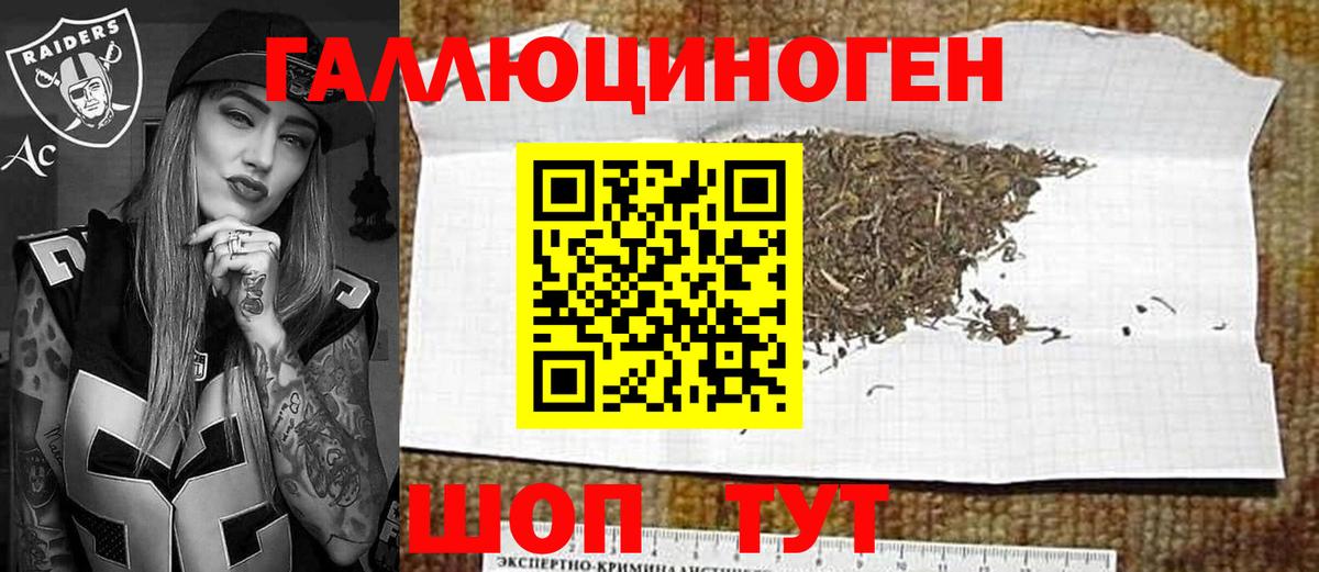 Псилоцибиновые грибы мицелий Лесосибирск